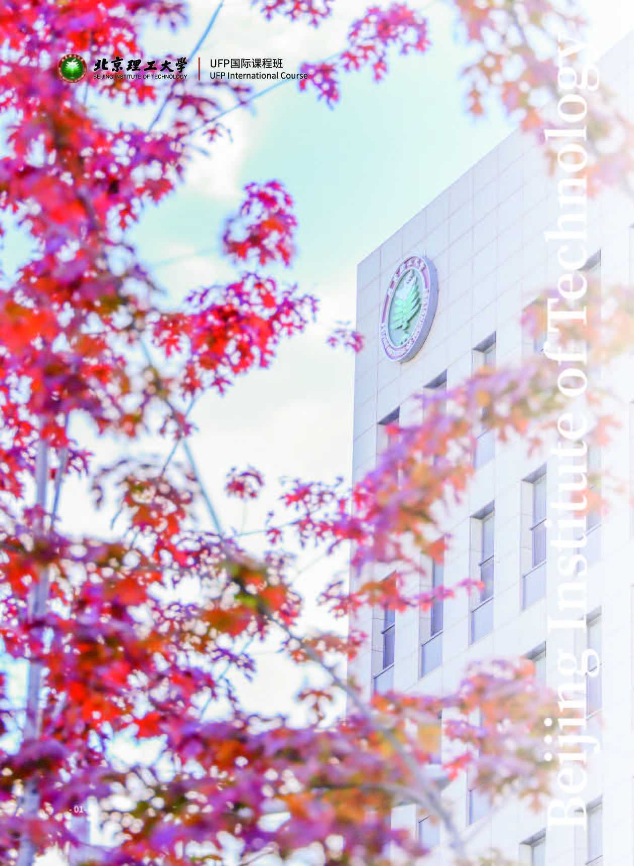 北京理工大学UFP简章_页面_02.jpg